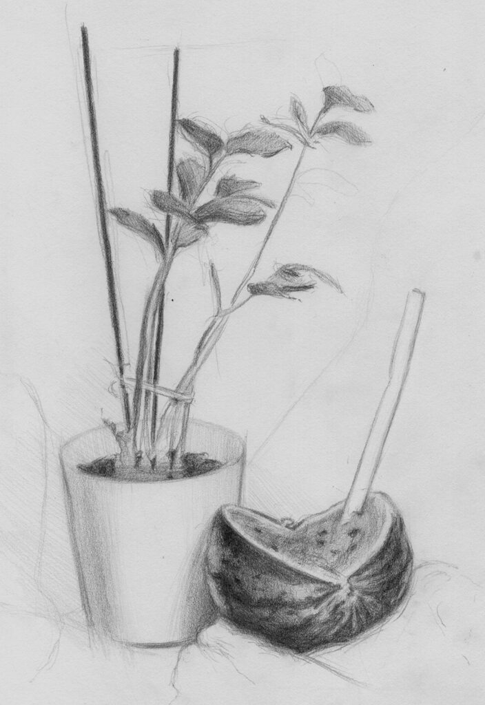 drawing and painting course ad