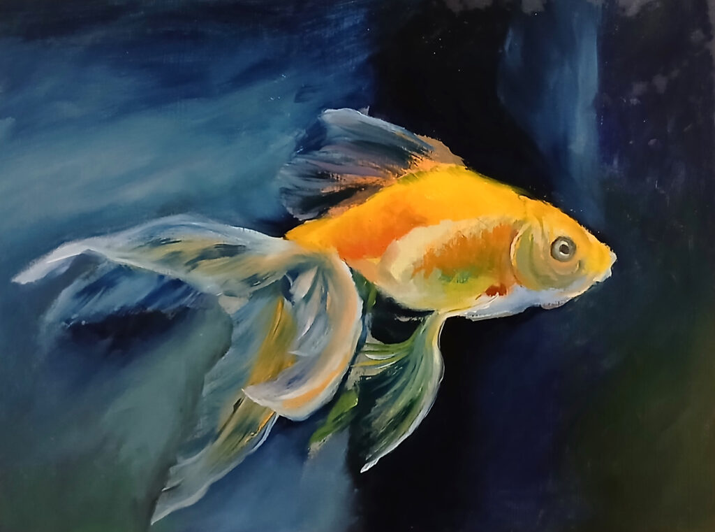 showcase of our students work