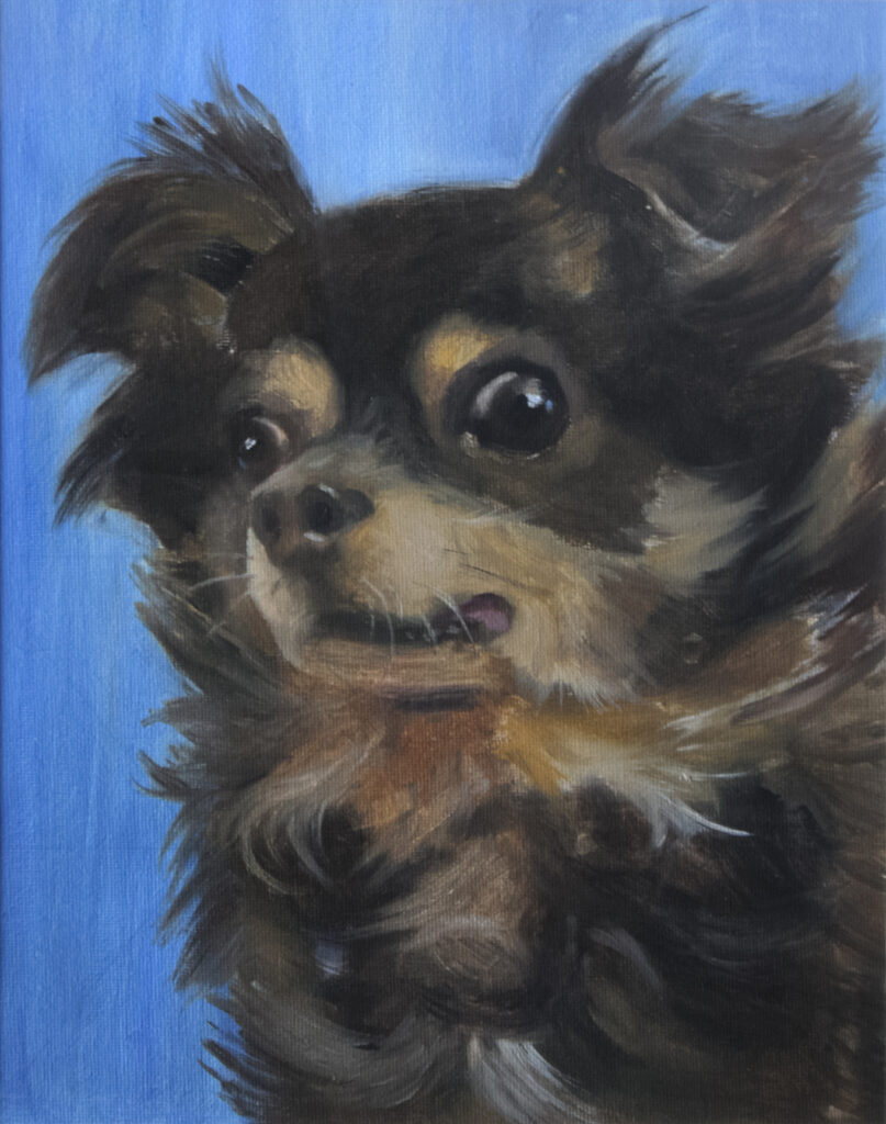 portret olejny pieska na niebieskim tle